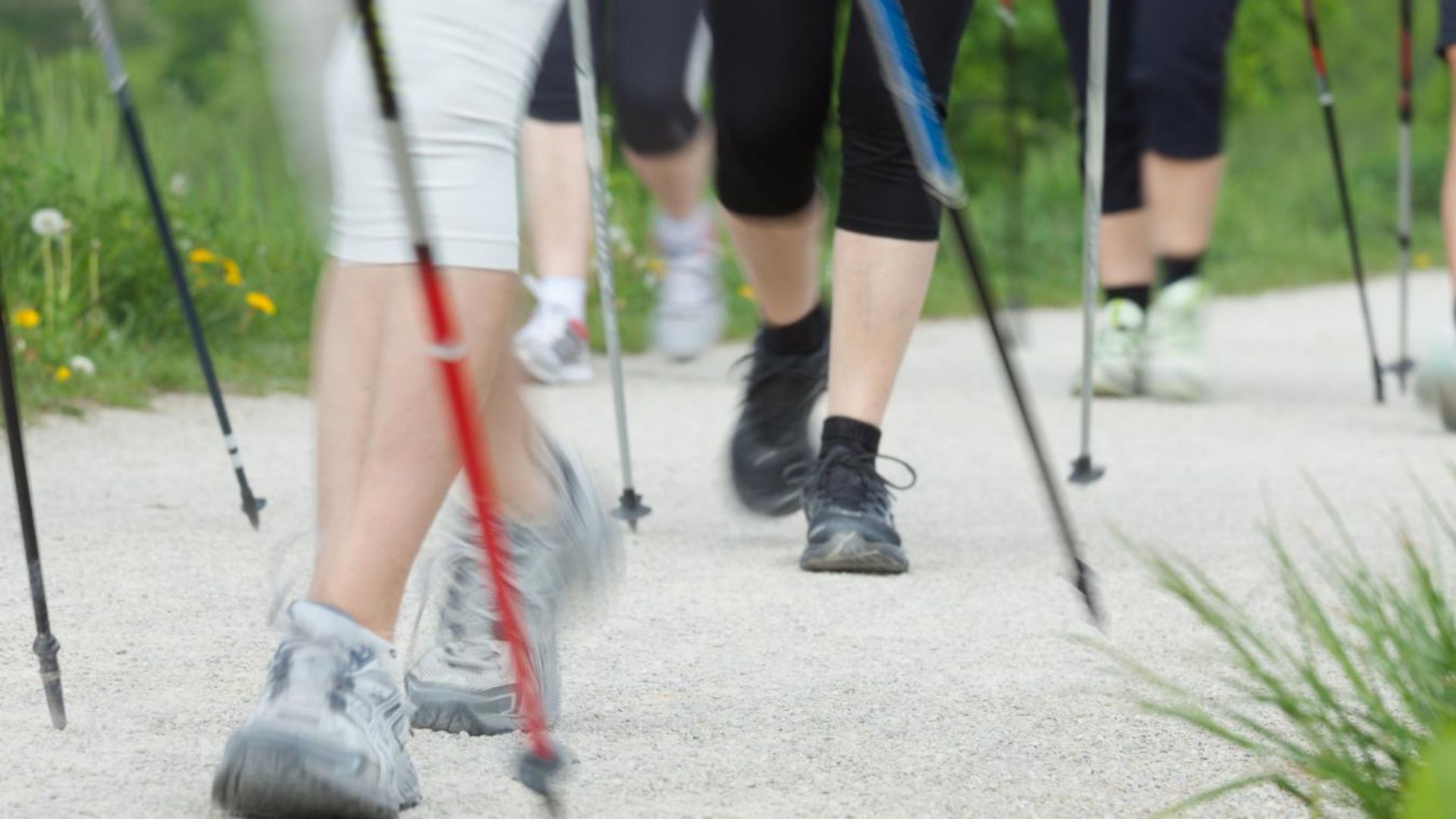 «Zämegolaufe» mit Physioline in Zumikon